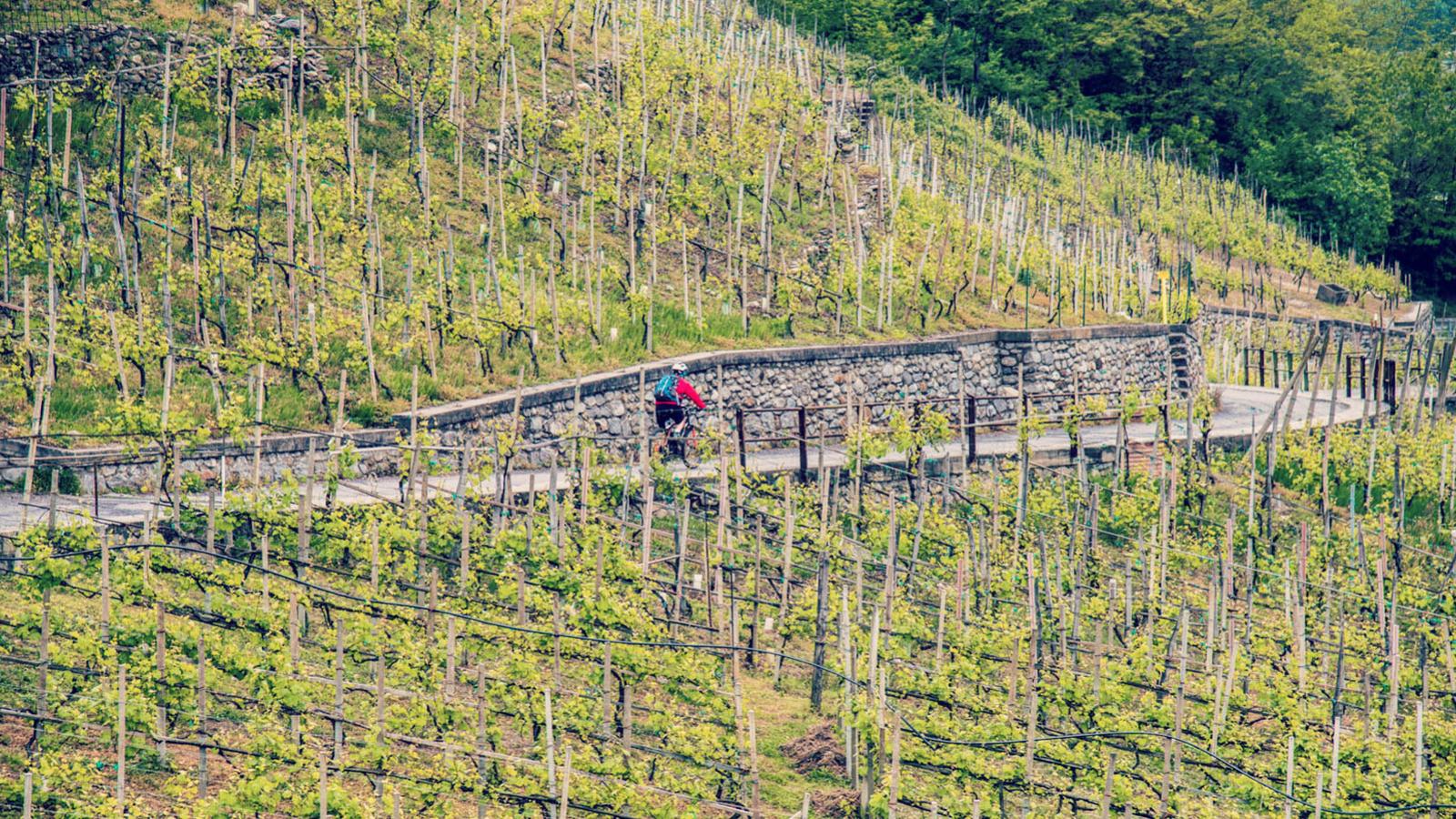 come si tirano i freni della bicicletta